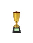 Trophy Plinar