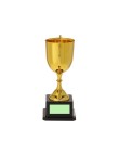 Trophy Nynor