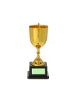 Trophy Nynor