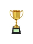 Trophy Nynor