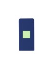 Power Bank Caplan