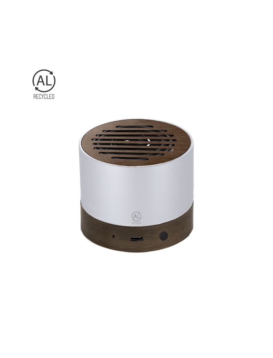 Speaker Kolin