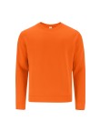 Adult Sweatshirt Cosmos