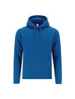 Adult Sweatshirt Draco
