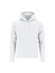 Adult Sweatshirt Draco