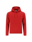 Adult Sweatshirt Draco