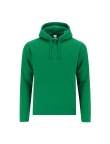 Adult Sweatshirt Draco