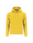 Adult Sweatshirt Draco