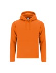 Adult Sweatshirt Draco