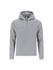 Adult Sweatshirt Draco