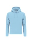 Adult Sweatshirt Draco