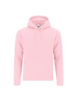 Adult Sweatshirt Draco