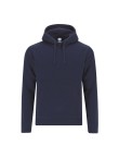 Adult Sweatshirt Draco