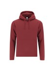 Adult Sweatshirt Draco