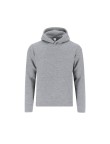 Kids Sweatshirt Draco