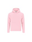 Kids Sweatshirt Draco