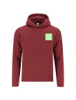 Kids Sweatshirt Draco
