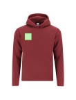 Kids Sweatshirt Draco