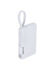 Power Bank Brandin