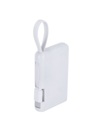 Power Bank Brandin