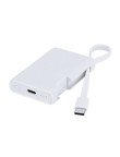 Power Bank Brandin