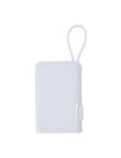 Power Bank Brandin