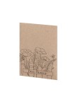 Seeds Packet Balvor