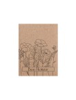 Seeds Packet Balvor