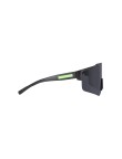Sunglasses Hozal