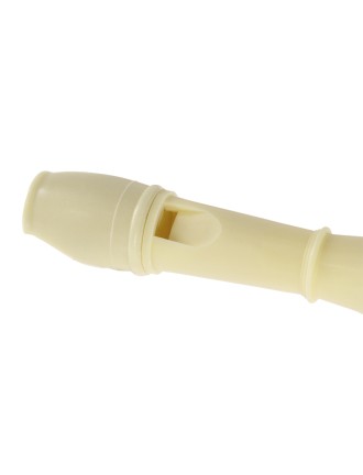 Recorder Drionax