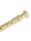 Recorder Drionax