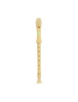 Recorder Drionax