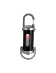 Torch Luvaron