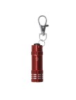 Torch Keyring Musday