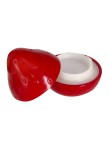 Lip Balm Domicor
