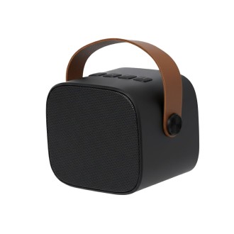Speaker Matjoy