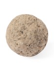 Seed Bonbons Mussox