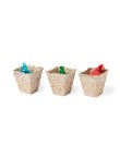 Garden Kit Mendrax