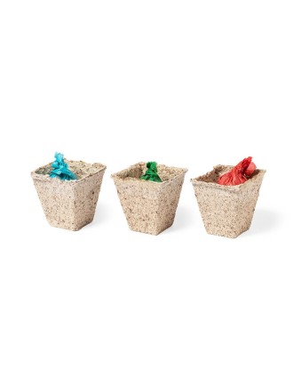 Garden Kit Mendrax