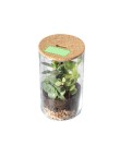 Terrarium Anymak