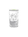 Terrarium Anymak