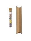 Seed Bonbons Set Dinaclex
