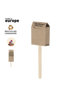 Seed Lollipop Ebeldy