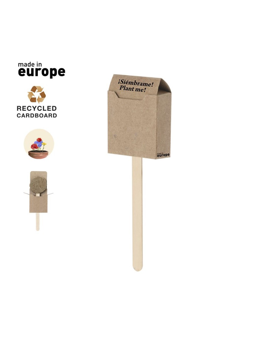 Seed Lollipop Ebeldy