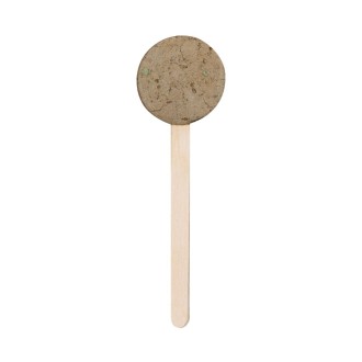 Seed Lollipop Ebeldy
