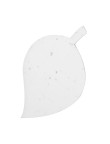 Plantable Paper Cryar
