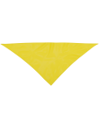 Neckerchief Plus