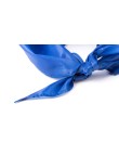 Neckerchief Plus