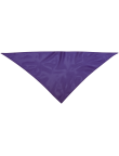 Neckerchief Plus