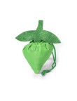 Foldable Bag Corni